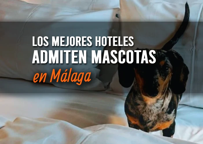 hoteles-mascotas-malaga