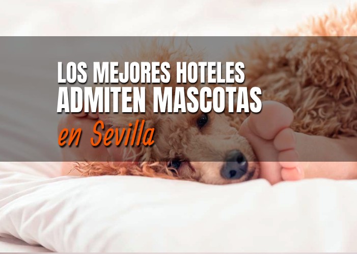 mejores-hoteles-admiten-mascotas-sevilla