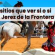 que-ver-jerez-de-la-frontera