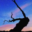mejores-observatorios-en-andalucia