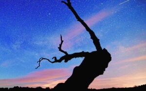 mejores-observatorios-en-andalucia