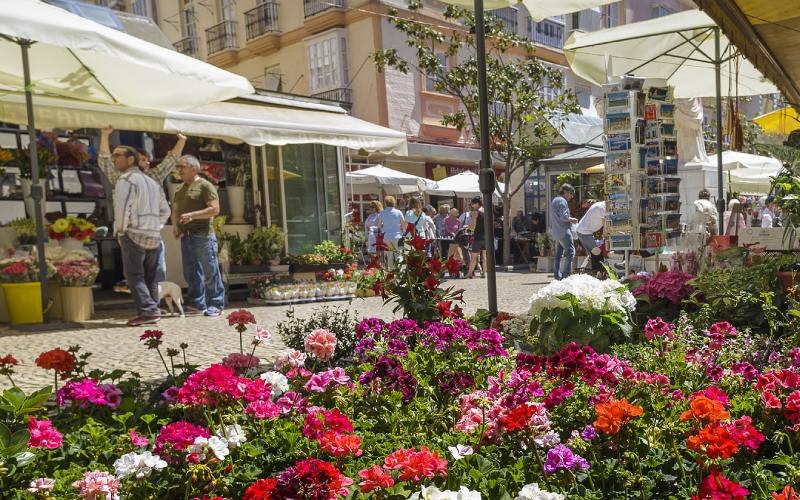 plaza-flores-cadiz