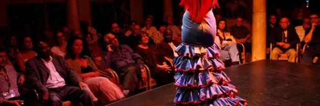 Espectáculo en el Museo del Baile Flamenco