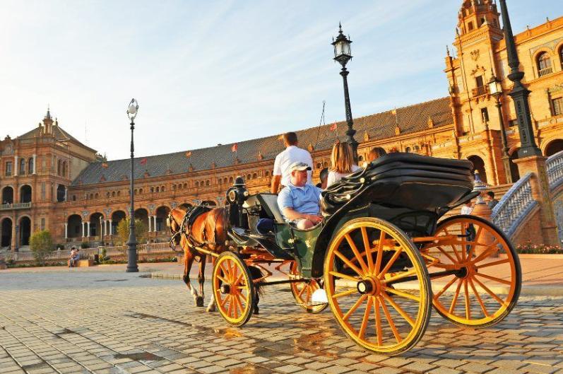 Coches de caballos