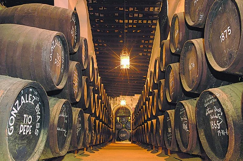 Experiencias en bodegas y enoturismo
