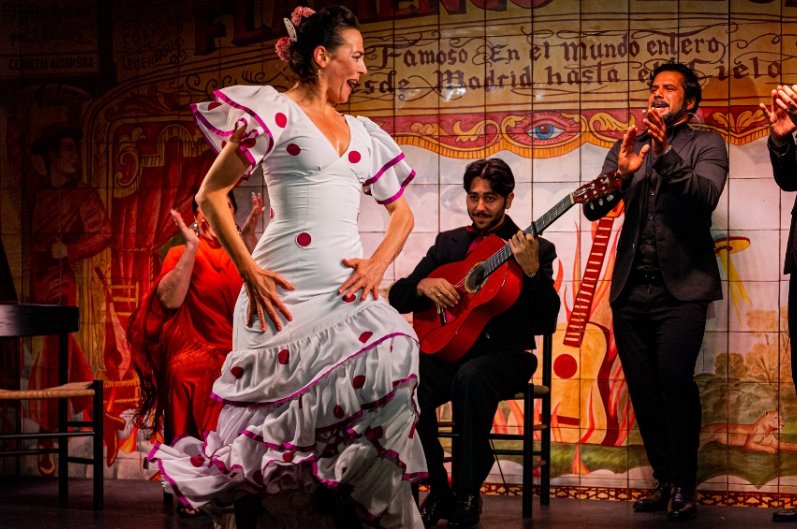 Espectáculos flamencos Córdoba