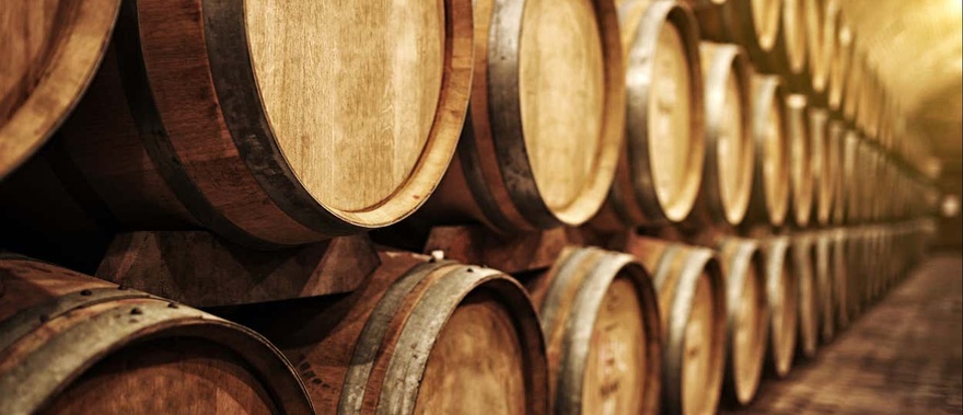 Visita guiada por las Bodegas Barbadillo Foto galería 1