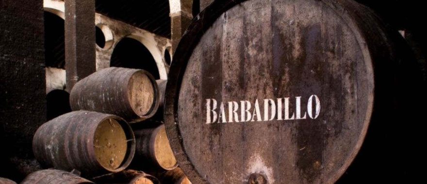 Visita guiada por las Bodegas Barbadillo Foto galería 3