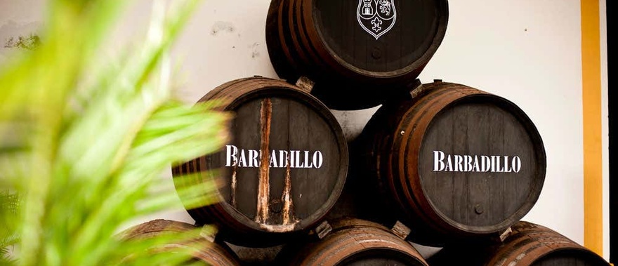 Visita guiada por las Bodegas Barbadillo