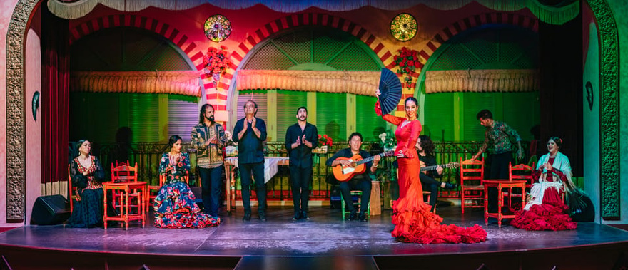 Show flamenco en El Palacio Andaluz