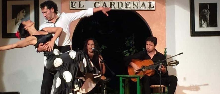 Espectáculo flamenco en el tablao El Cardenal Foto galería 4