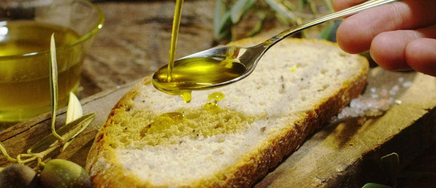 Cata de aceites de Jaén Foto galería 4
