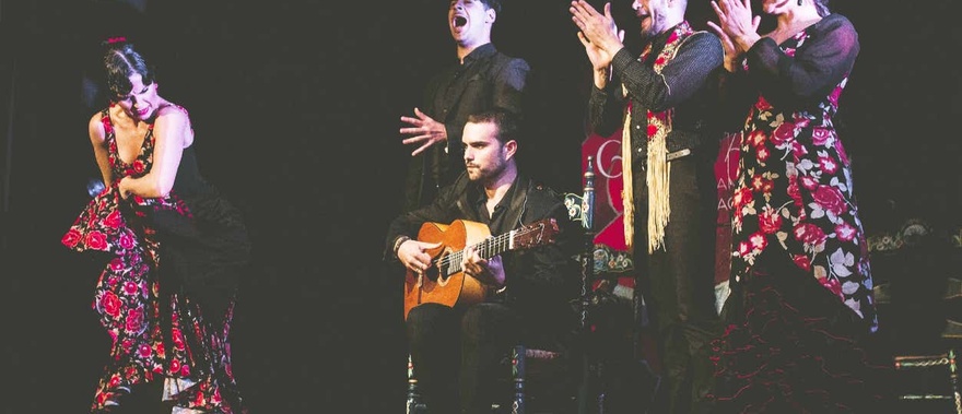 Espectáculo flamenco en el tablao Casa Ana Foto galería 2
