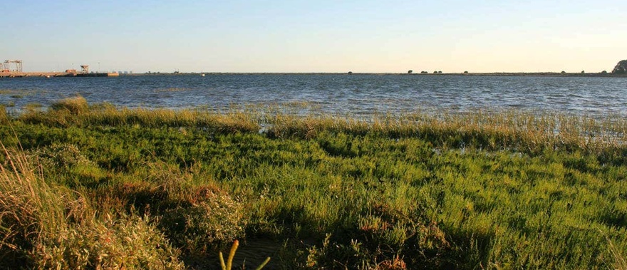 Paseo en barco por la ría de Punta Umbría al atardecer Foto galería 4