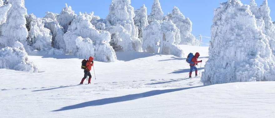 Paseo con raquetas de nieve por Sierra Nevada Foto galería 3