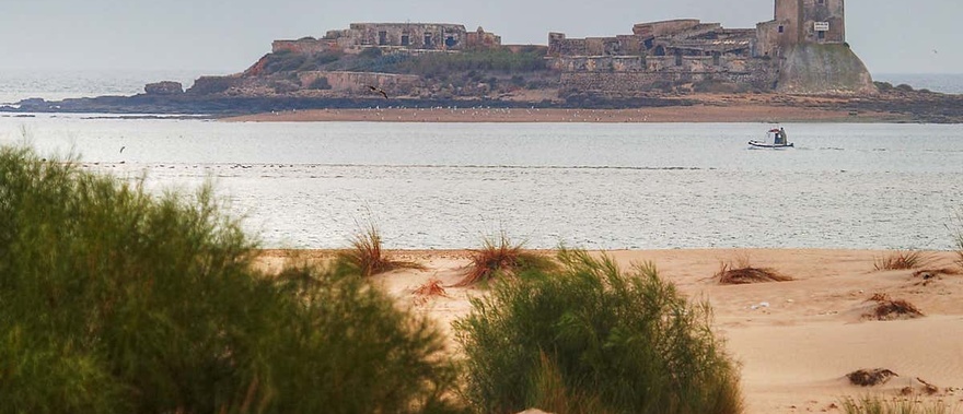 Paseo en catamarán junto al castillo y la playa de La Barrosa de Sancti Petri Foto galería 4