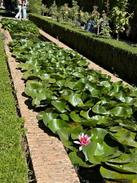 Excursión a la Alhambra desde Málaga Foto galería 2