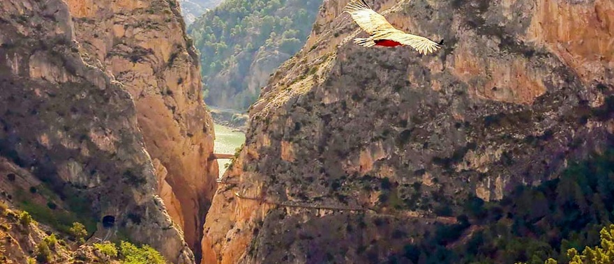 Caminito del Rey: Tour guiado y ticket de entrada Foto galería 1
