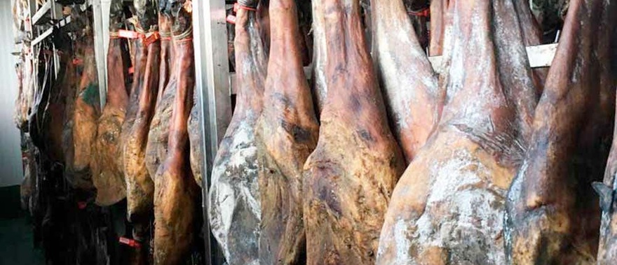 Ruta del jamón ibérico por la Sierra de Aracena Foto galería 4