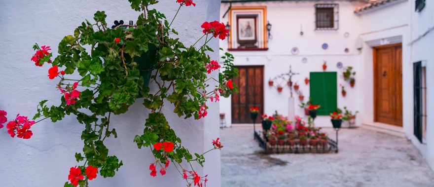 Visita guiada por Priego de Córdoba