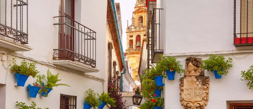 Visita guiada por la Mezquita y la Judería de Córdoba