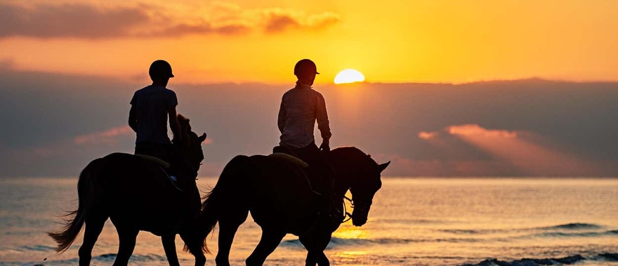 Paseo a caballo al atardecer por Doñana Foto galería 1