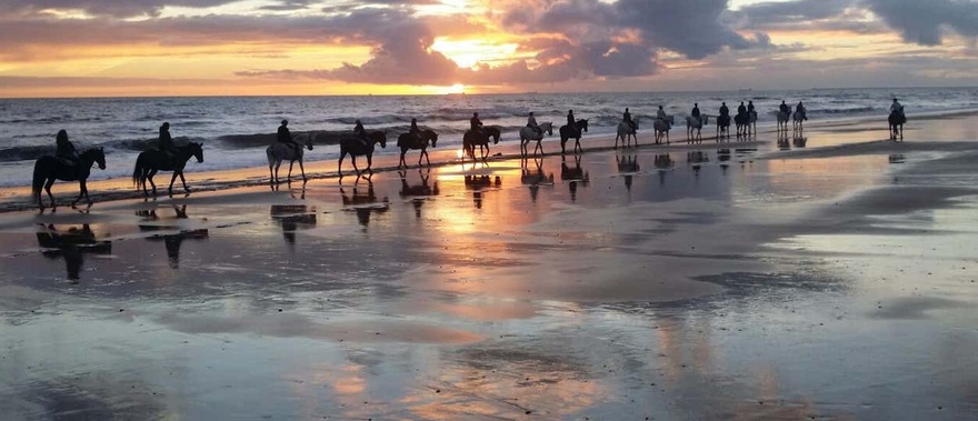 Paseo a caballo al atardecer por Doñana Foto galería 2