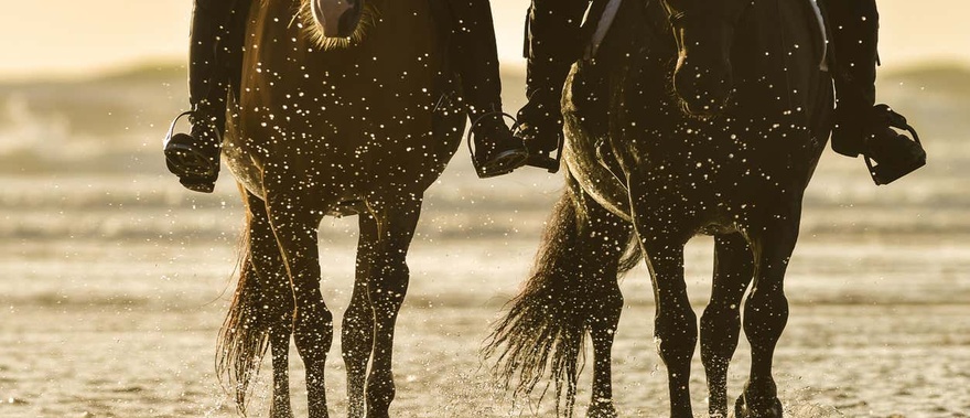 Paseo a caballo al atardecer por Doñana Foto galería 4