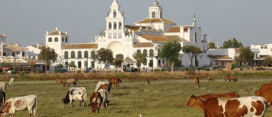 Visita guiada por el Parque Nacional de Doñana Foto galería 1