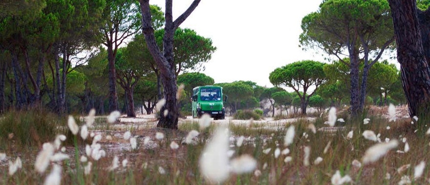 Visita guiada por el Parque Nacional de Doñana Foto galería 4