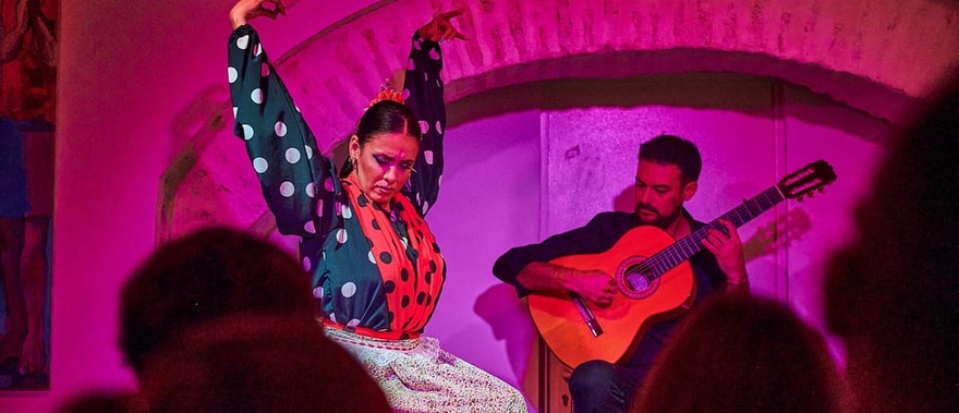 Espectáculo flamenco en la Casa de la Guitarra Foto galería 4