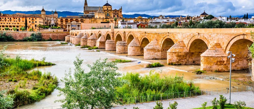Excursión a Córdoba desde Sevilla