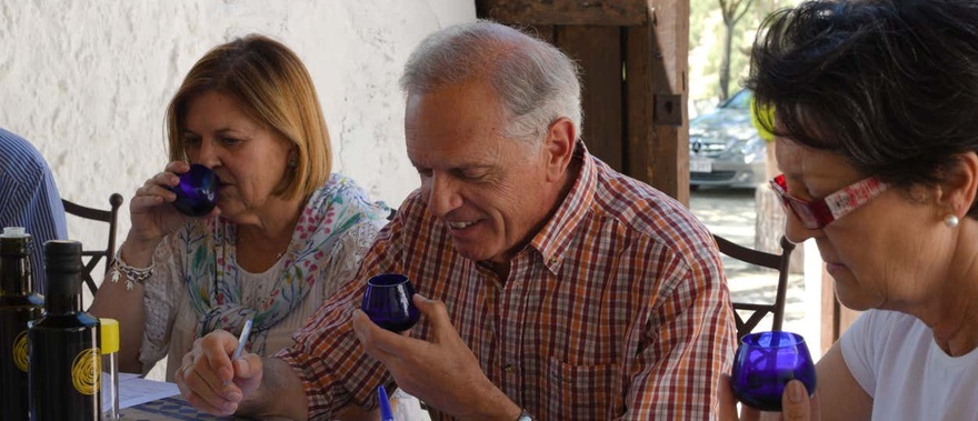 Visita a un olivar y una almazara + Cata de aceites Foto galería 4