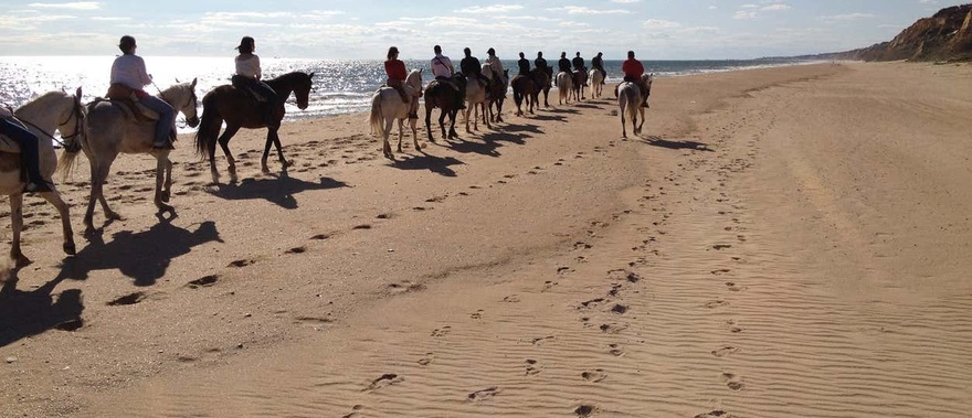 Paseo a caballo por Doñana desde Mazagón Foto galería 2