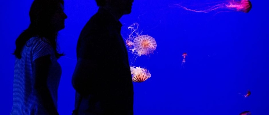 Entrada al Acuario de Sevilla