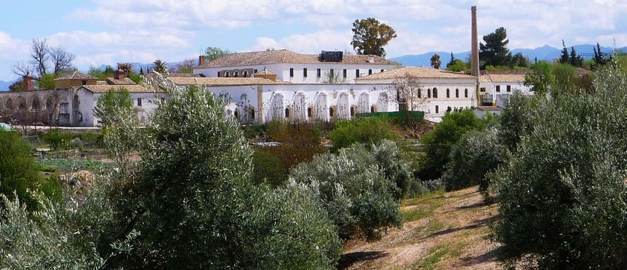 Visita guiada por el Museo del Olivo + Cata de aceites en Baeza Foto galería 1