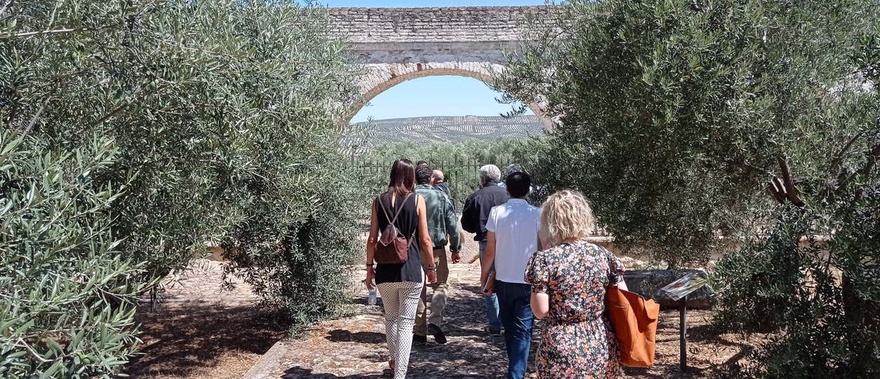 Visita guiada por el Museo del Olivo + Cata de aceites en Baeza Foto galería 2