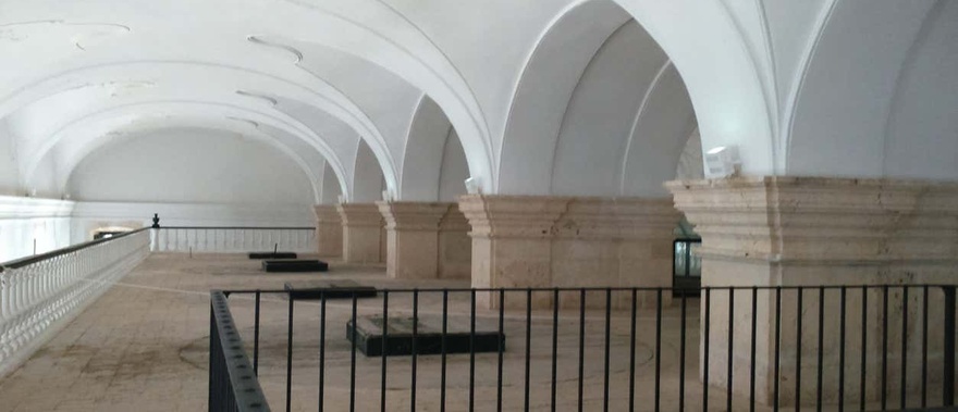 Visita guiada por el Museo del Olivo + Cata de aceites en Baeza Foto galería 4