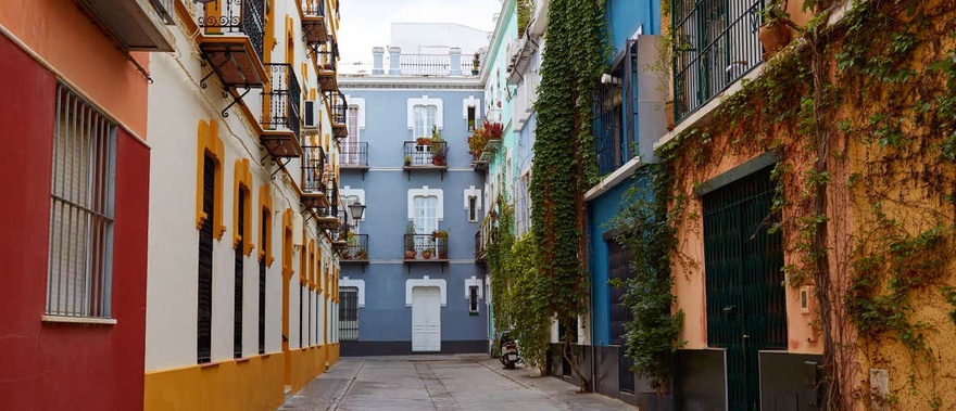 Visita guiada por la Macarena y su museo Foto galería 2