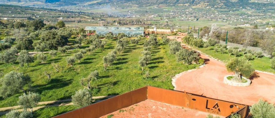 Экскурсия в Севилью из Малаги Фото галереи 3