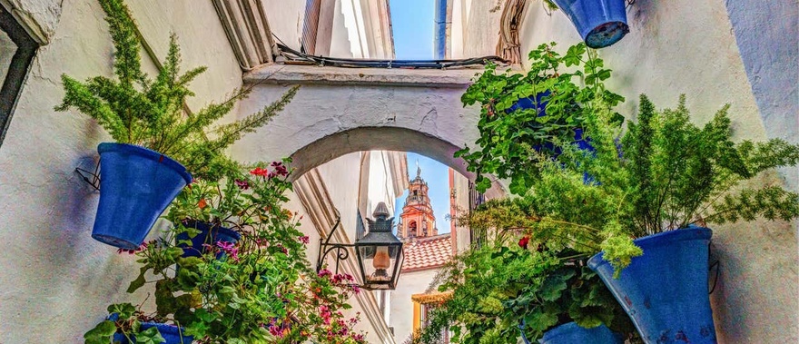 Excursión a Córdoba desde Granada