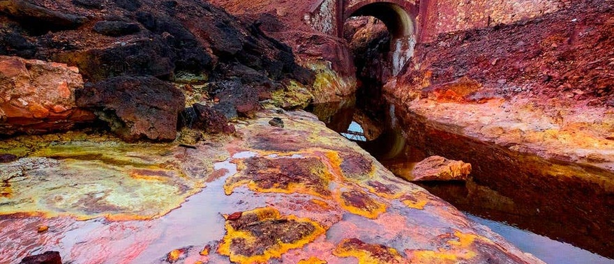 Excursión a la Sierra de Aracena desde Sevilla Foto galería 1