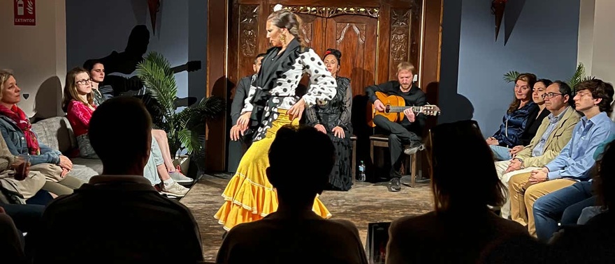 Espectáculo flamenco en la Sala Almoraima Foto galería 3