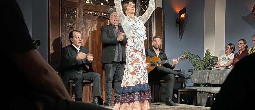 Espectáculo flamenco en la Sala Almoraima Foto galería 4