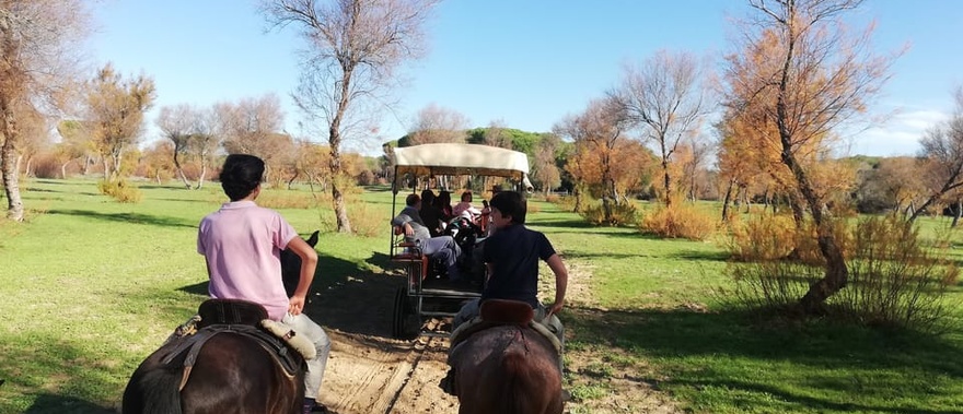 Paseo en coche de caballos por Doñana y El Rocío Foto galería 2
