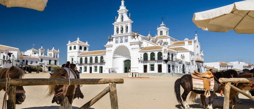 Paseo en coche de caballos por Doñana y El Rocío Foto galería 4