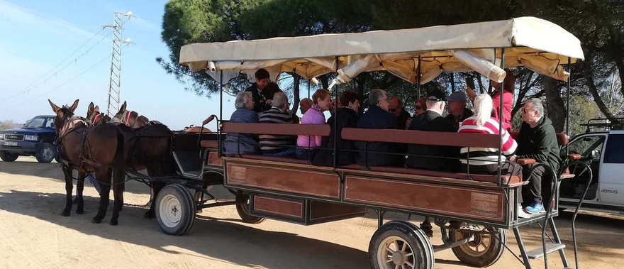 Paseo en coche de caballos por Doñana y El Rocío