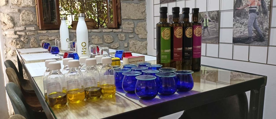Cata de aceite de oliva en Cazorla