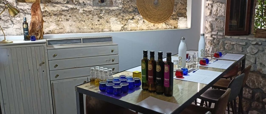 Cata de aceite de oliva en Cazorla Foto galería 3