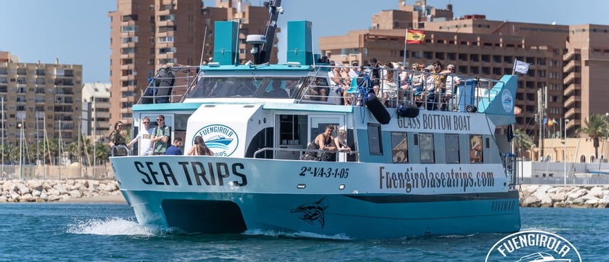 Avistamiento de delfines en Fuengirola Foto galería 1